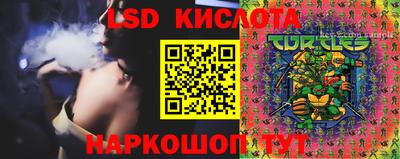 mdma Гусев