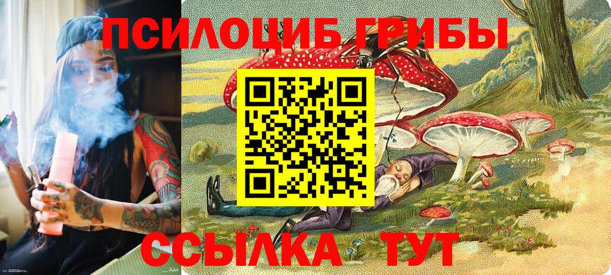Псилоцибиновые грибы Cubensis Прокопьевск