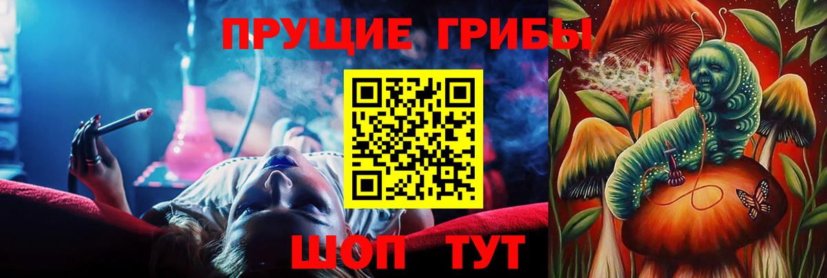 дарнет шоп  Вход с VPN  Прокопьевск  Псилоцибиновые грибы прущие грибы 